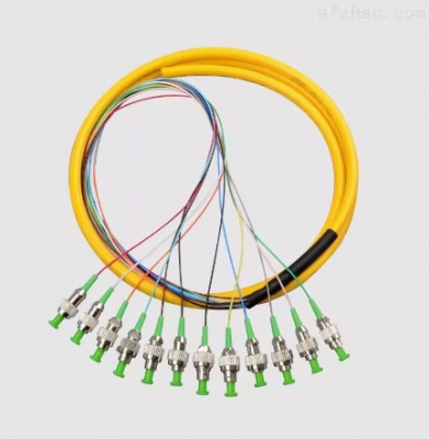 FC APC 12 Core Fiber Pigtail