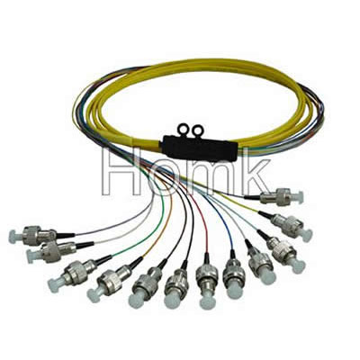 FC 12 core Pigtail