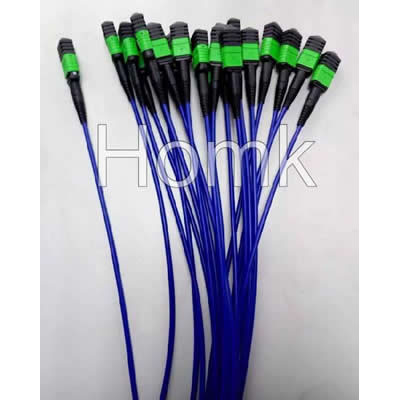 MPO Blue Patch Cord