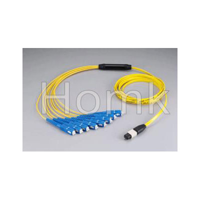 Patch cord(SC MPO)